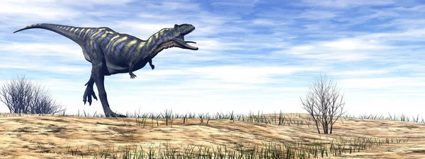 Dinosaure Aucasaurus Marchant Dans Désert Jour Rendu — Photo