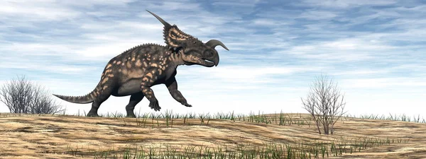 Einiosaurus dinosaur in the desert - 3D render — Stock Photo, Image