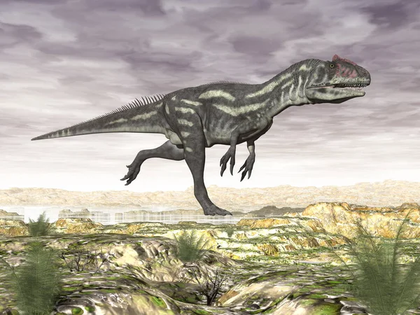 Az Allosaurus dinoszaurusz, a sivatag - 3d Render — Stock Fotó