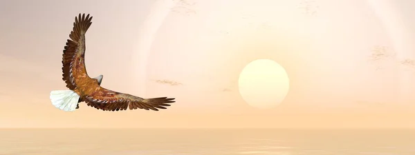 Eagle bird going to the sun - 3D render — Stock Photo, Image