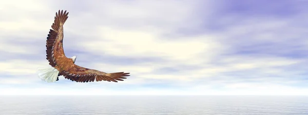 Eagle bird flying over the water - 3D render — Stock Photo, Image