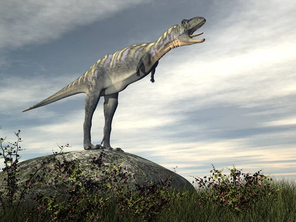 Aucasaurus dinoszaurusz egy sziklán - 3D render — Stock Fotó