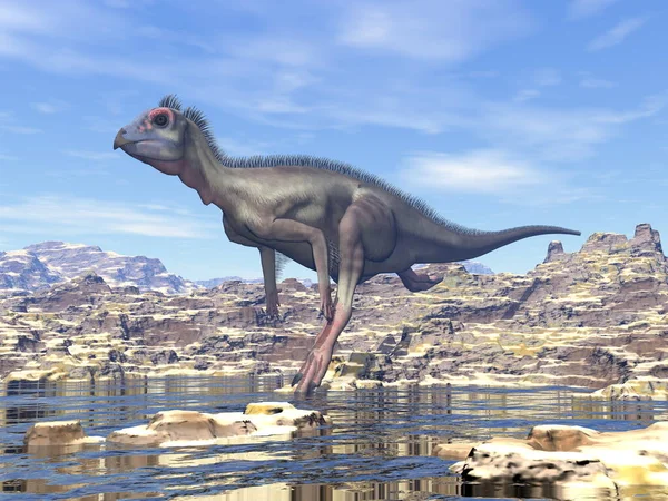 Dinosaure hypsilophodon dans le désert - rendu 3D — Photo