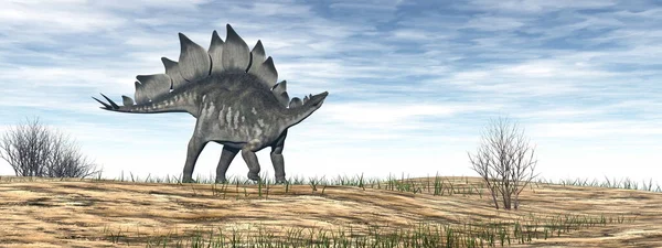 Стегозавр динозавр в пустыне - 3D рендеринг — стоковое фото