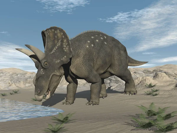 Diceratops nedoceratops dinosaur in the desert - 3D render — Stock fotografie