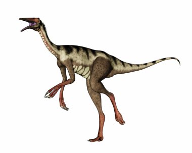 Pelecanimimus dinozor yürüyor ve kükrüyor - 3 boyutlu görüntüleme