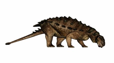 Pinacosaurus dinozoru yiyor ya da içiyor - 3 boyutlu görüntüleme