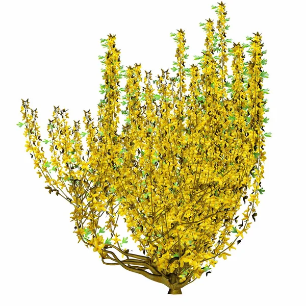 Small bush blooming with yellow flowers - 3D render —  Fotos de Stock