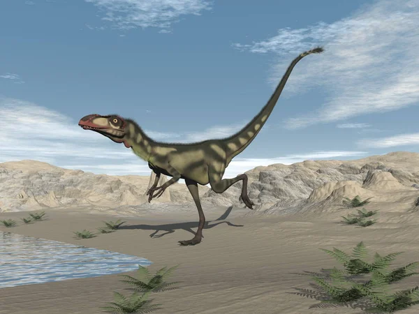 Dinosaurio Dilong en el desierto - 3D render — Foto de Stock