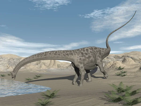 Diplodocus dinosaur drinking in the desert - 3D render — Stock Photo, Image