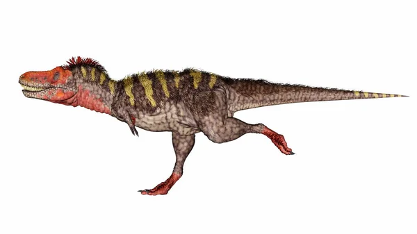 Δεινόσαυρος Tarbosaurus τρέχει γρήγορα και γρήγορα - 3D καθιστούν — Φωτογραφία Αρχείου