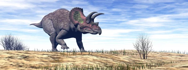 Dinossauro Triceratops no deserto renderizar 3D — Fotografia de Stock