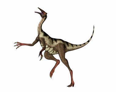 Pelecanimimus dinozor yürüyor ve kükrüyor - 3 boyutlu görüntüleme