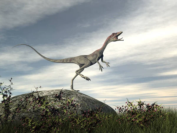 Compsognathus dinozoru bir kayanın üzerinde duruyor - 3D görüntüleme