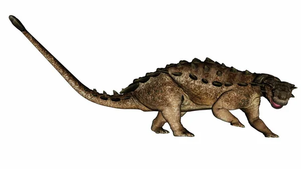 Pinacosaurus dinosaur turning head looking right - 3D render — Stockfoto