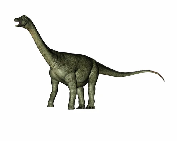 Saltasaurus dinosaur roaring and walking - 3D render — Stok fotoğraf