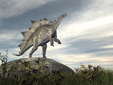 Stegosaurus dinozoru kayanın üzerinde - 3 boyutlu görüntüleme