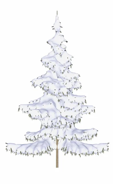 Pinheiro de inverno ou abeto coberto de neve - renderização 3D — Fotografia de Stock
