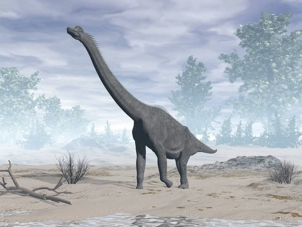 Dinosaurio braquiosaurio en el desierto - 3D render — Foto de Stock