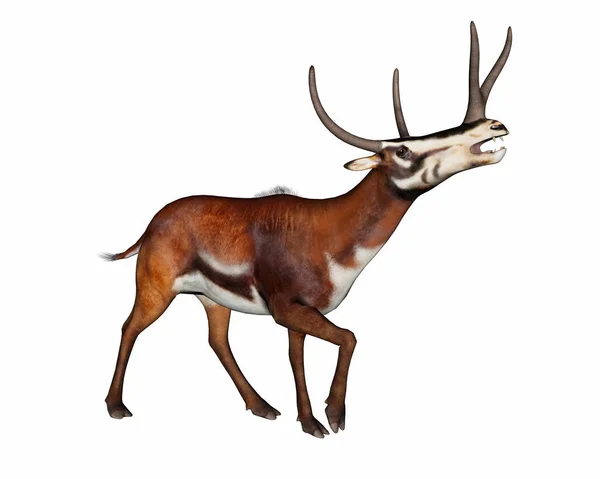 Kyptocera mammal walking and roaring - 3D render — Stock Photo, Image