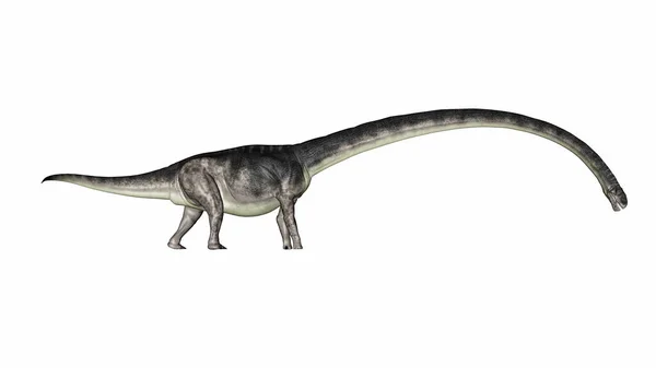 Omeisaurus dinosaurie promenader med sin långa hals ner - 3D render — Stockfoto