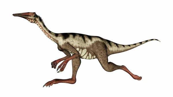 Pelecanimimus dinosaurus běží rychle hlavou nahoru - 3D vykreslení — Stock fotografie