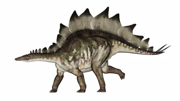 Stegosaurus dinozoru tam önümüzde yürüyor - 3 boyutlu görüntüleme — Stok fotoğraf