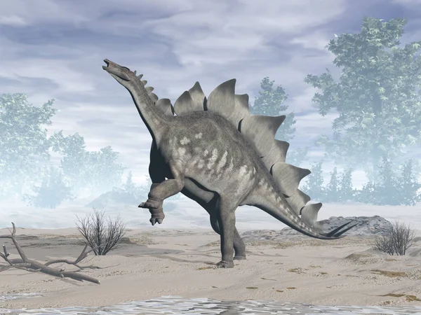 Stegosaurus dinoszaurusz a sivatagban - 3D render — Stock Fotó