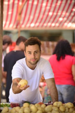 küçük işletme sahibi satan organik meyve ve sebze