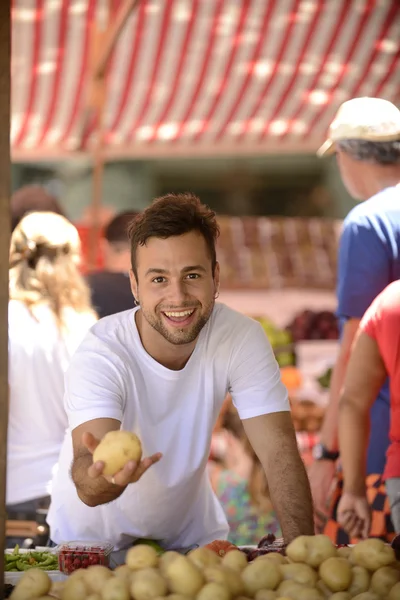 Small business owner selling organic fruits and vegetables — Stock Photo, Image