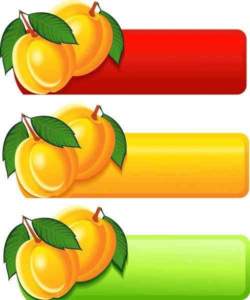 Bannière abricot — Image vectorielle
