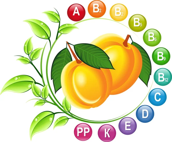 维生素和杏子 — 图库矢量图片
