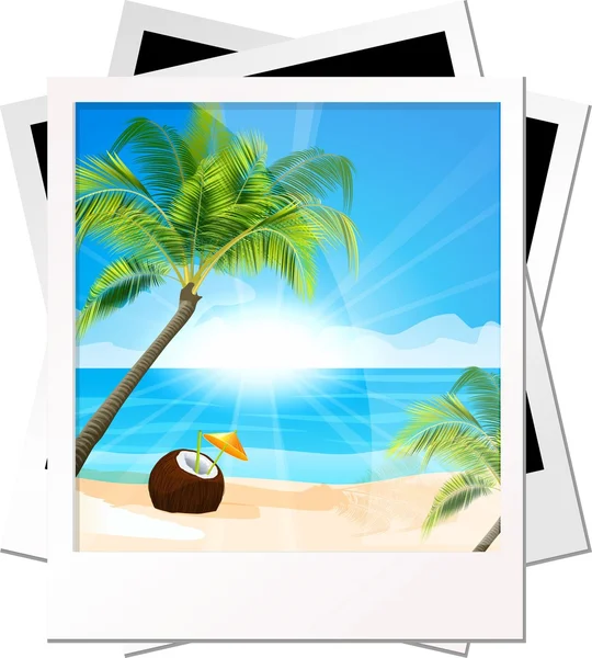 Photo palms on a sea background — Stock Vector