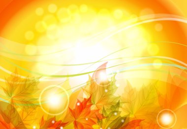 sonbahar yaprakları ile parlak banner