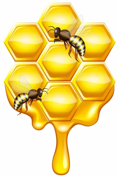 Hřeben s včelami — Stockový vektor