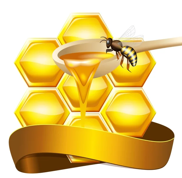 Panal con cuchara de miel — Archivo Imágenes Vectoriales