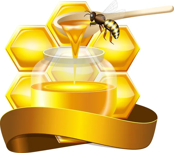 Sklenice medu s včela — Stockový vektor