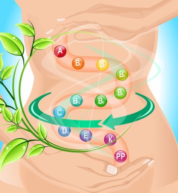 sindirim için vitaminler