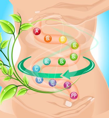 Vitamins for the digestive tract clipart
