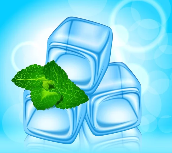 Beautiful ice with a sprig of mint — Stock Vector