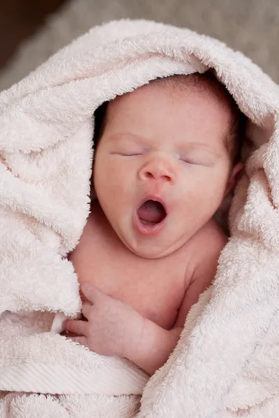 Sweet yawning — Stock Photo, Image