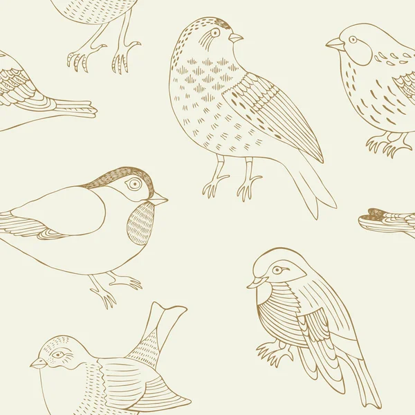 Bird hand drawn pattern — Stock Vector