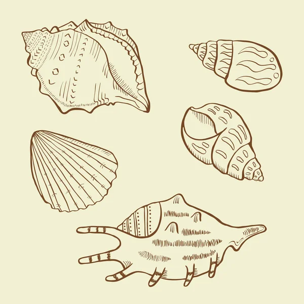 Conjunto de shell retro — Archivo Imágenes Vectoriales
