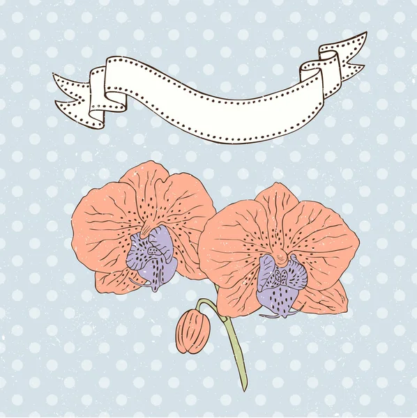 兰花的复古卡 — 图库矢量图片