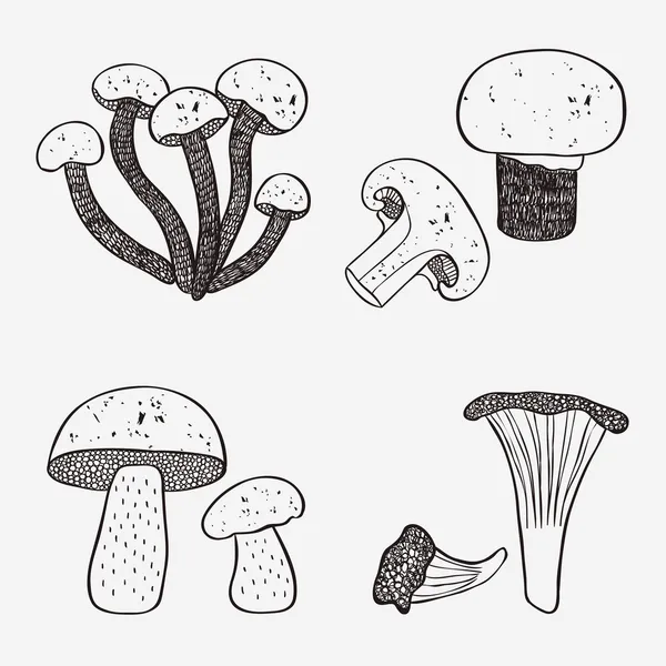 Mushroom doodle set — Stock Vector