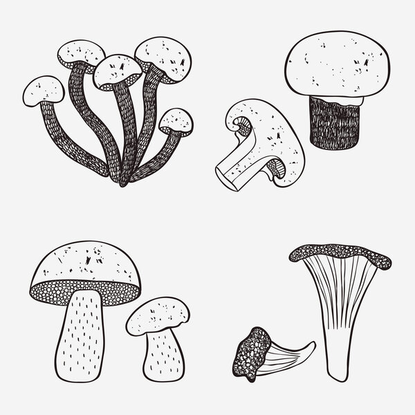 Mushroom doodle set
