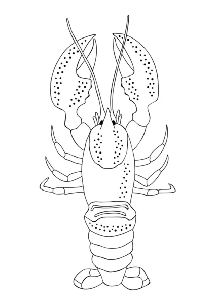ロブスター — ストックベクタ