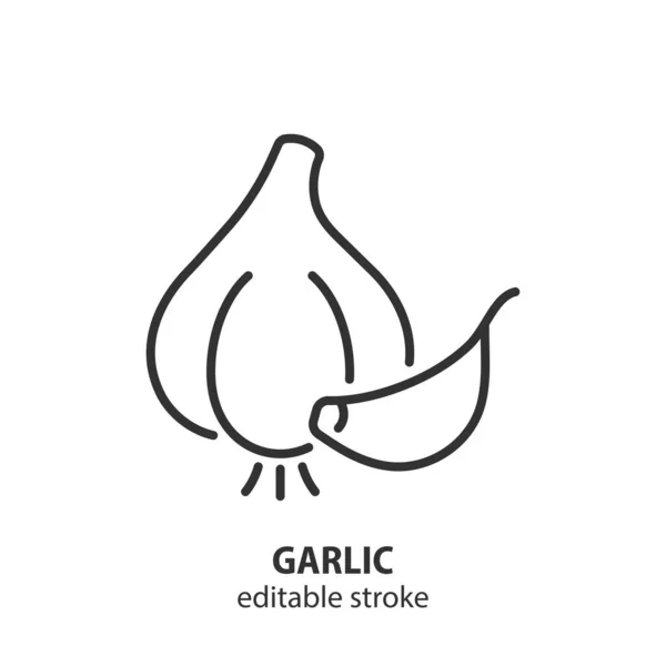 Garlic Line Icon Garlic Clove Vector Symbol Editable Stroke Stock Vector