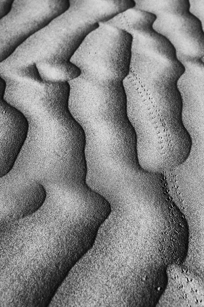 Hermosas formaciones de dunas de arena — Foto de Stock