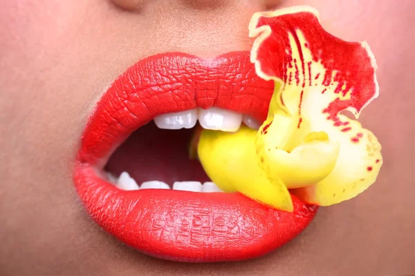 Woman With Sensual Lips Holding Flower in Mouth — Stock Photo, Image